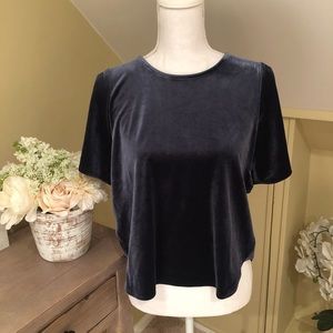 Madewell Velvet Butterfly Top